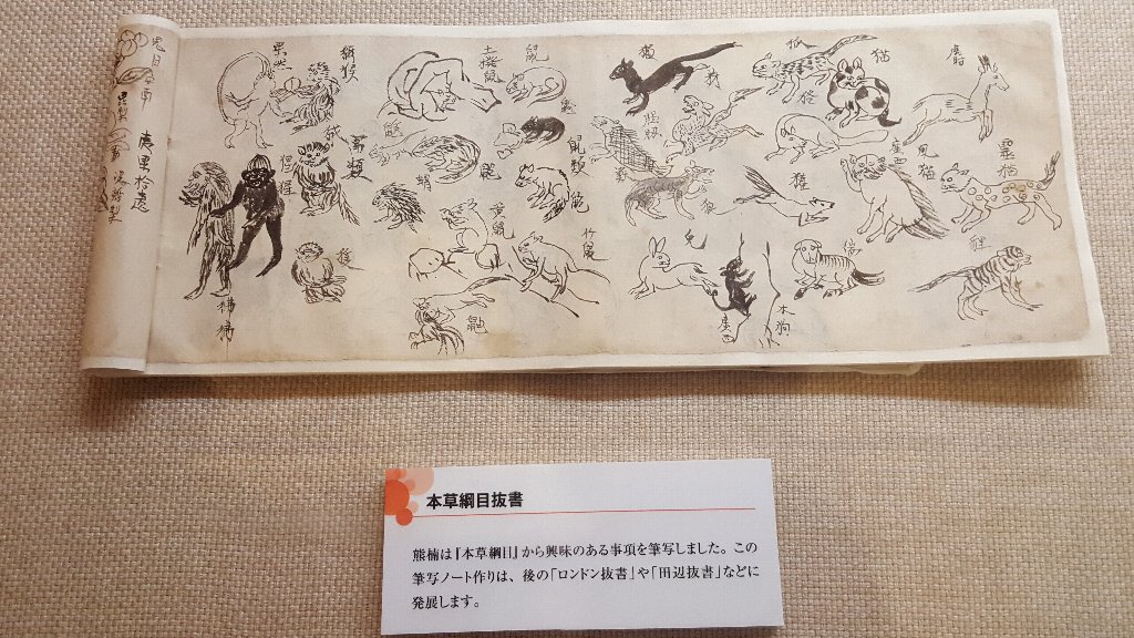 f:id:korokoroblog:20180106133710j:plain f:id:korokoroblog:20180106133710j:plain