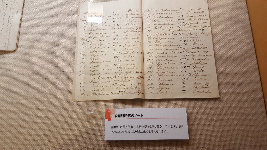 f:id:korokoroblog:20180106134458j:plain f:id:korokoroblog:20180106134458j:plain