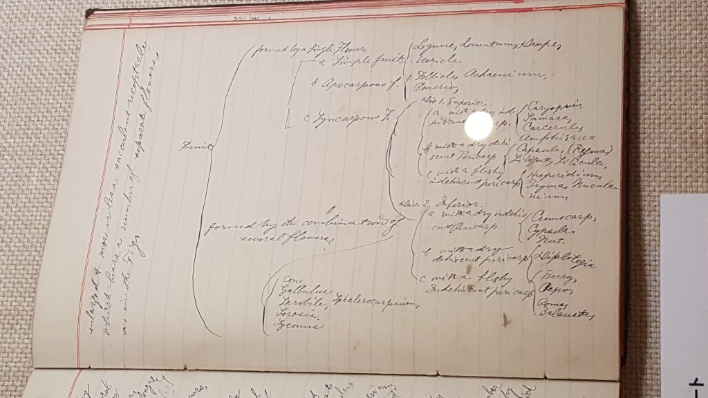 f:id:korokoroblog:20180310005155p:plain