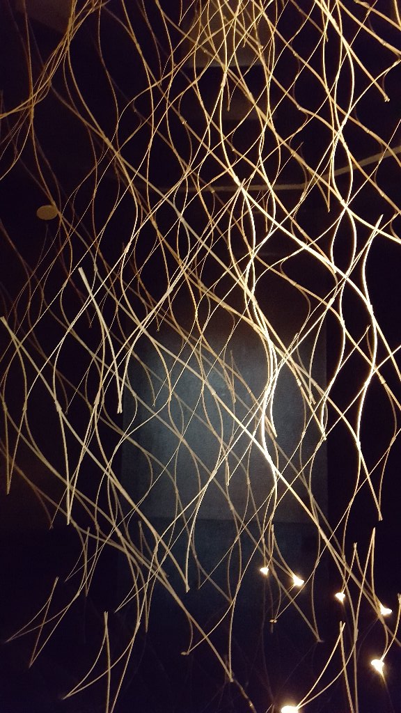 f:id:korokoroblog:20180310011712j:plain