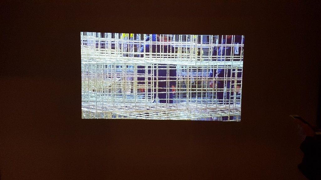 f:id:korokoroblog:20180311074421j:plain