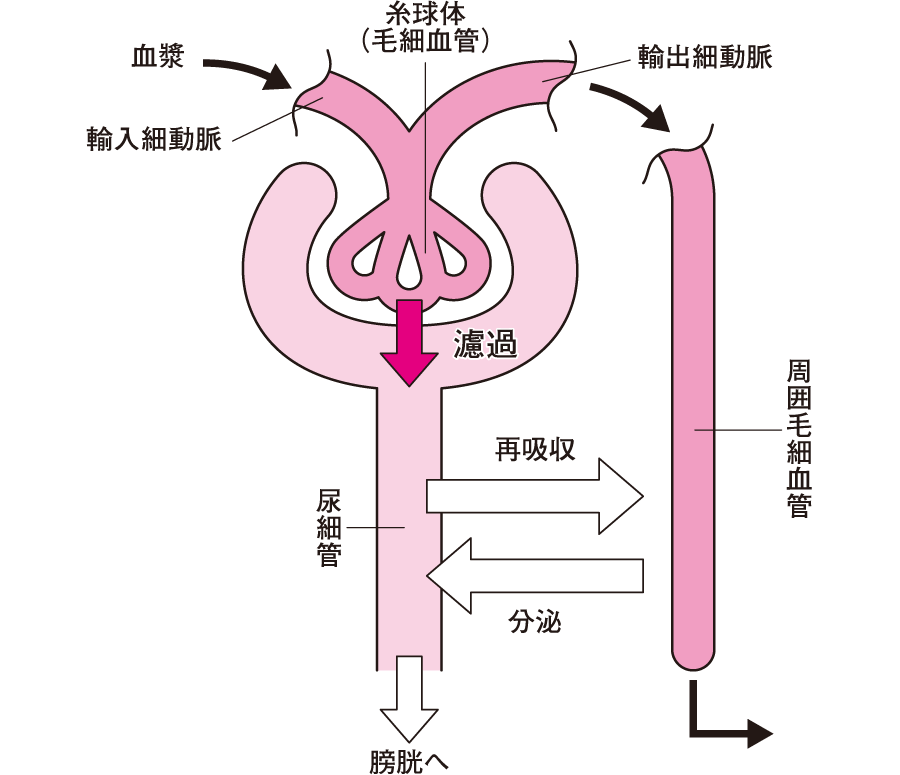 f:id:korokoroblog:20180401124708p:plain