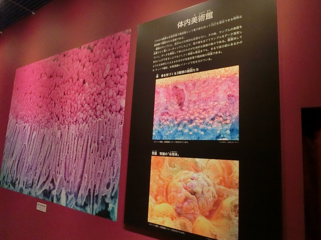 f:id:korokoroblog:20180401151053j:plain