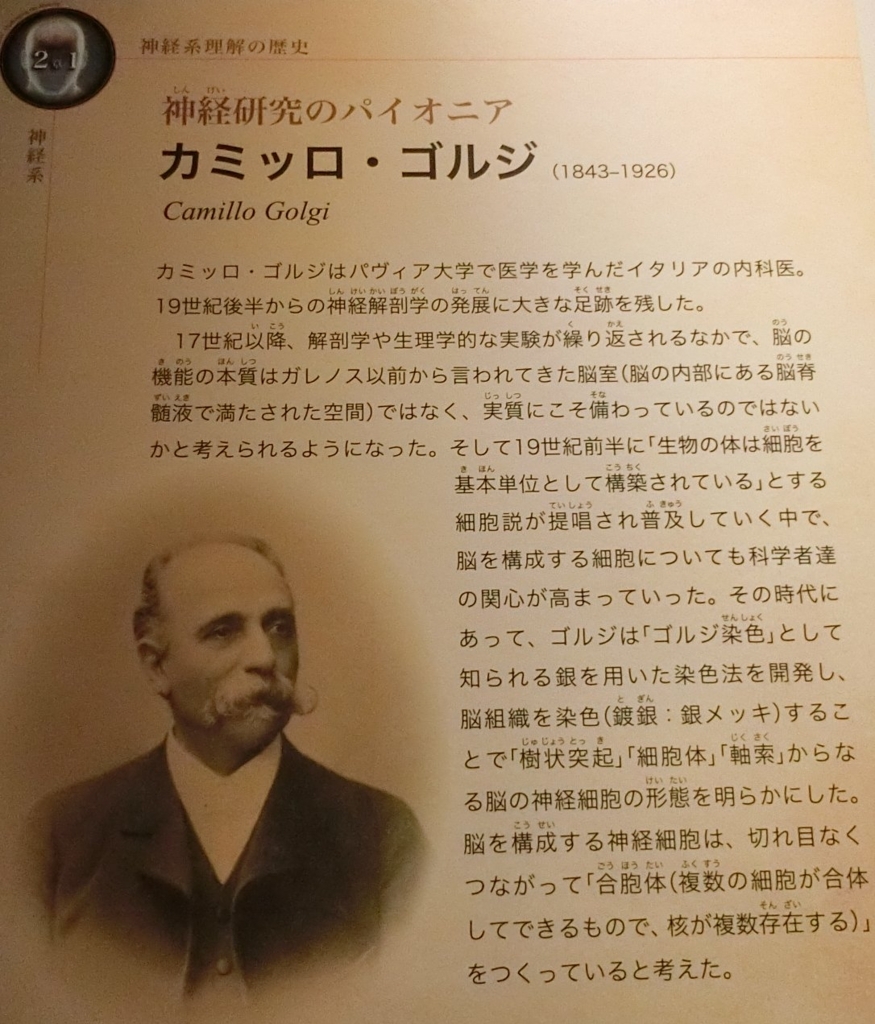 f:id:korokoroblog:20180405160102j:plain f:id:korokoroblog:20180405160102j:plain