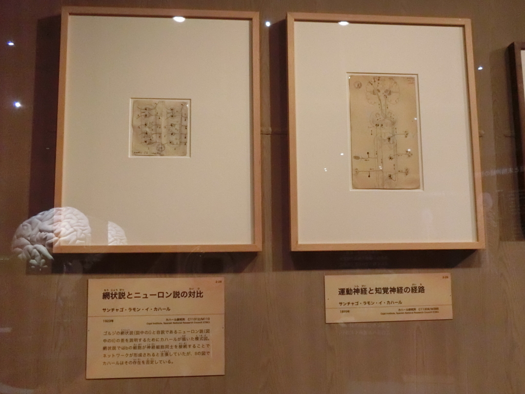 f:id:korokoroblog:20180405160209j:plain f:id:korokoroblog:20180405160209j:plain