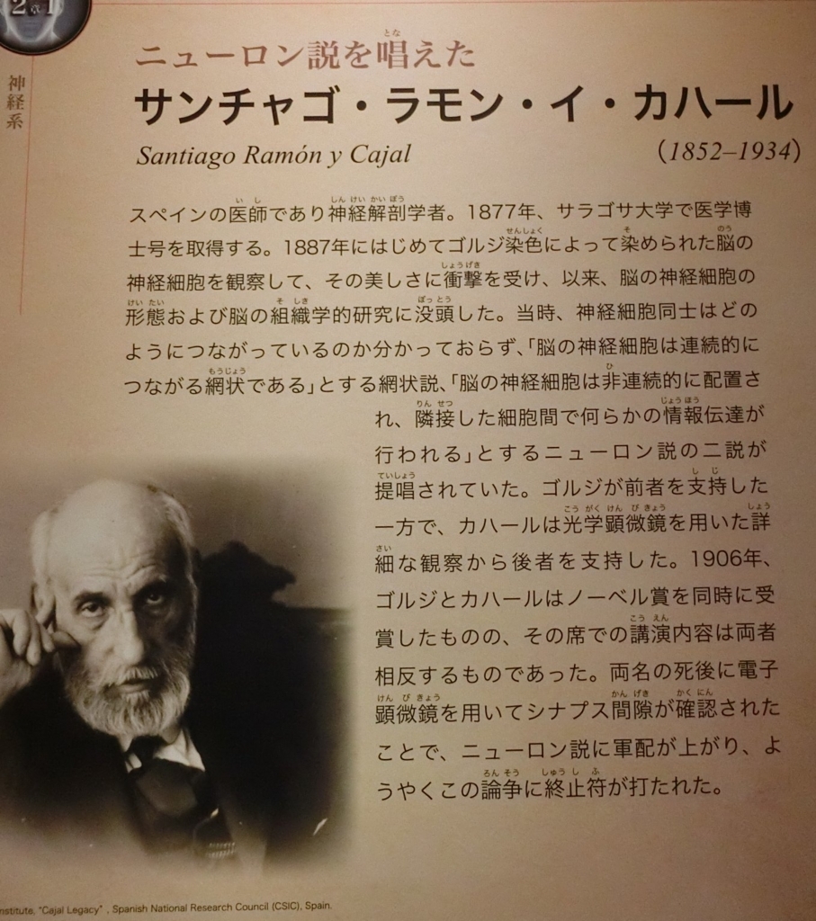 f:id:korokoroblog:20180405164936j:plain f:id:korokoroblog:20180405164936j:plain