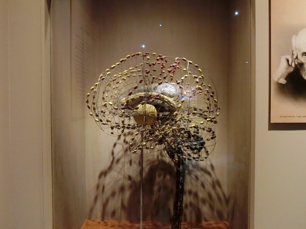 f:id:korokoroblog:20180405165102j:plain