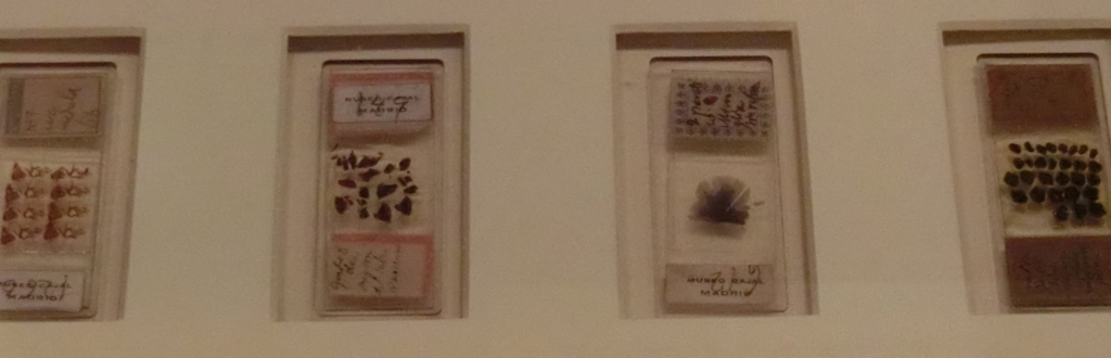 f:id:korokoroblog:20180405170223j:plain f:id:korokoroblog:20180405170223j:plain