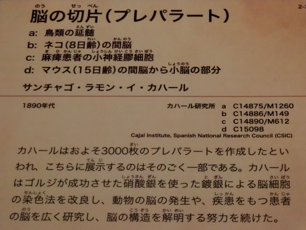 f:id:korokoroblog:20180405170238j:plain f:id:korokoroblog:20180405170238j:plain