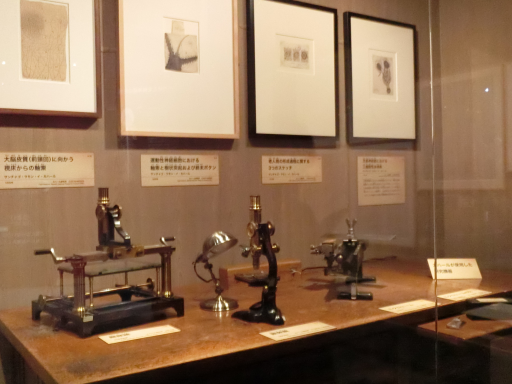 f:id:korokoroblog:20180405212410p:plain f:id:korokoroblog:20180405212410p:plain