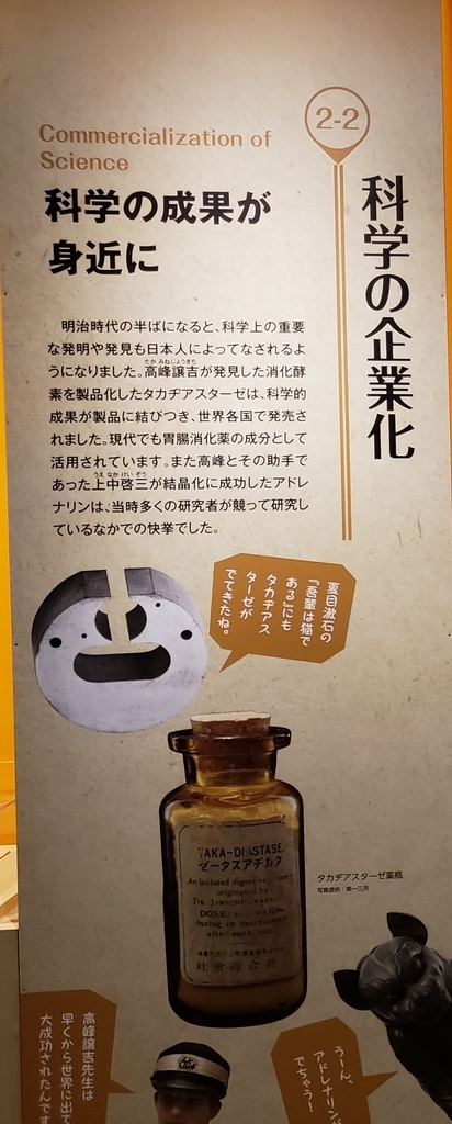 f:id:korokoroblog:20181225171624j:plain f:id:korokoroblog:20181225171624j:plain