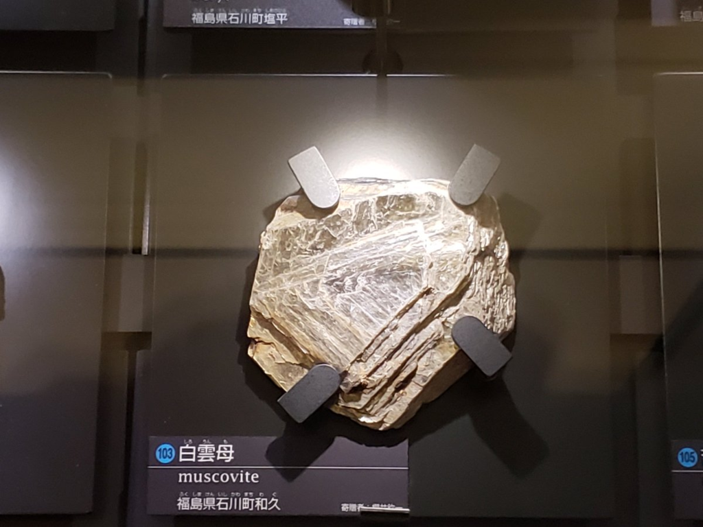 f:id:korokoroblog:20190121112244p:plain f:id:korokoroblog:20190121112244p:plain