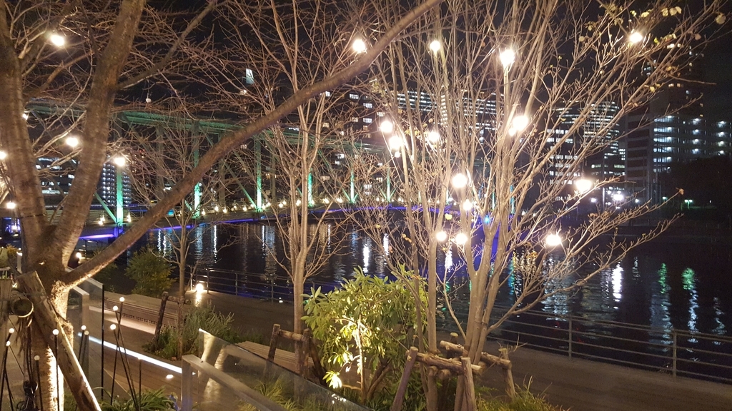 f:id:korokoroblog:20190126185325j:plain f:id:korokoroblog:20190126185325j:plain