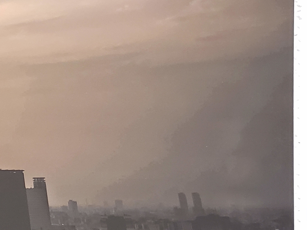 f:id:korokoroblog:20190126214550j:plain f:id:korokoroblog:20190126214550j:plain