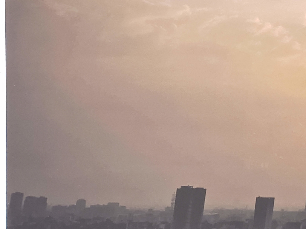 f:id:korokoroblog:20190126214614j:plain f:id:korokoroblog:20190126214614j:plain