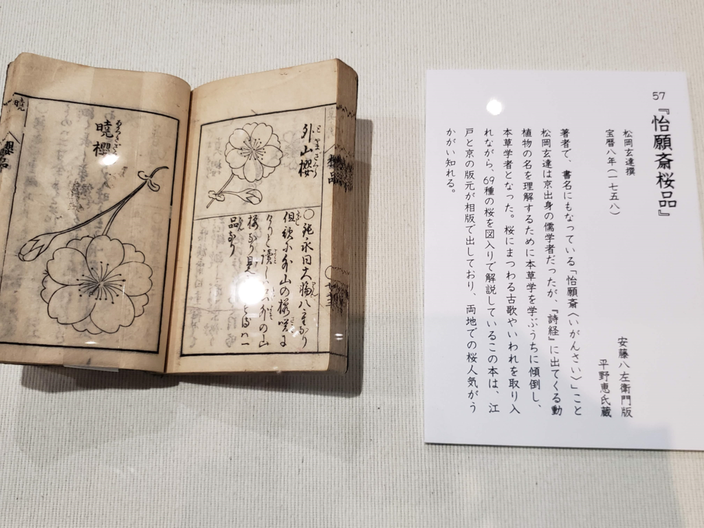 f:id:korokoroblog:20190310125531p:plain f:id:korokoroblog:20190310125531p:plain