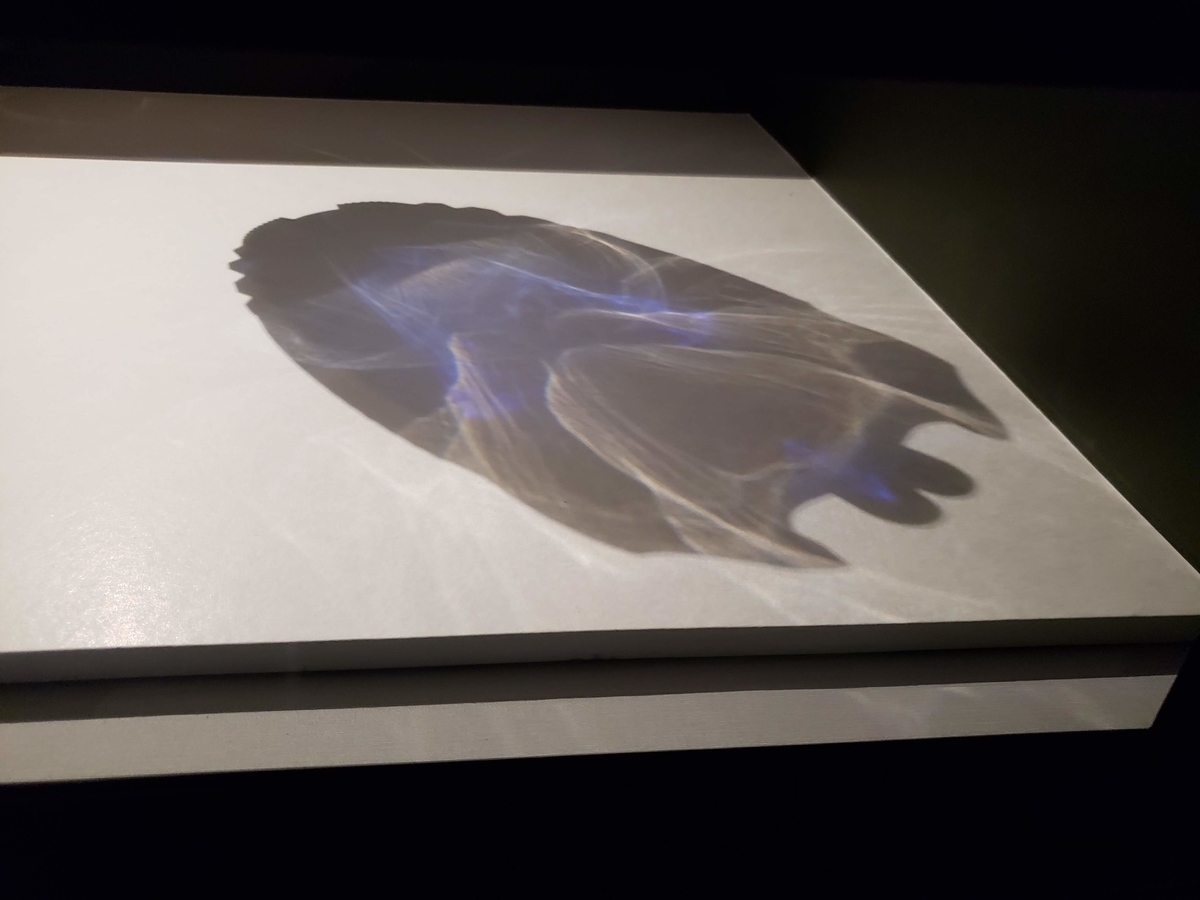 f:id:korokoroblog:20190502034603j:plain f:id:korokoroblog:20190502034603j:plain
