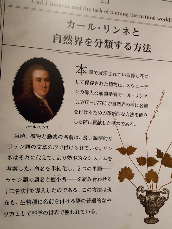 f:id:korokoroblog:20190715135447p:plain f:id:korokoroblog:20190715135447p:plain