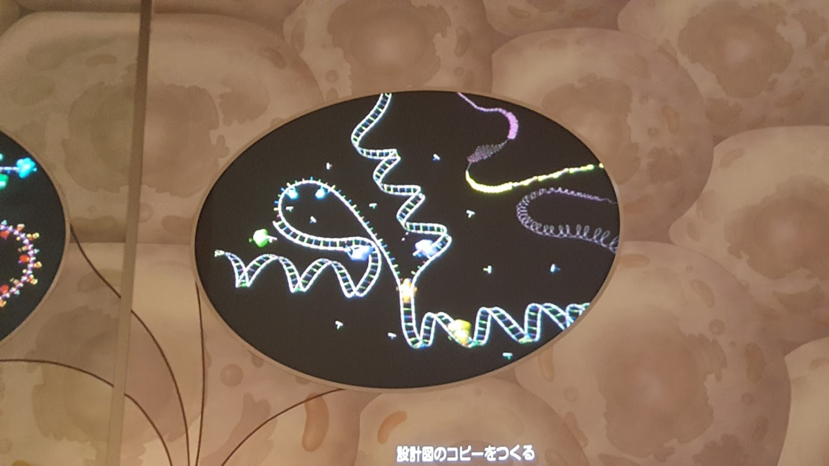 f:id:korokoroblog:20190729045342p:plain f:id:korokoroblog:20190729045342p:plain