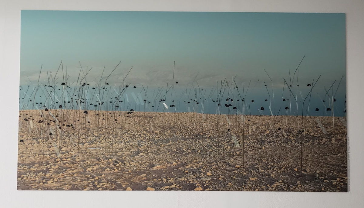 f:id:korokoroblog:20190808104916p:plain f:id:korokoroblog:20190808104916p:plain