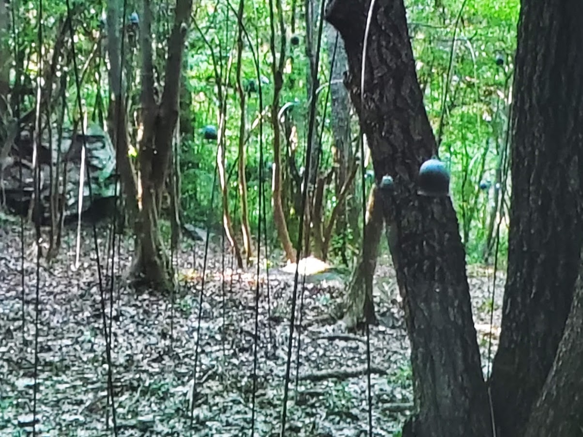 f:id:korokoroblog:20190808200615p:plain f:id:korokoroblog:20190808200615p:plain