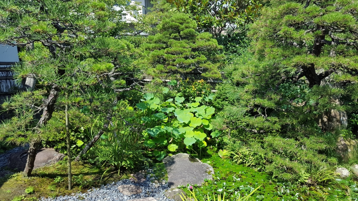 f:id:korokoroblog:20190830132439j:plain f:id:korokoroblog:20190830132439j:plain