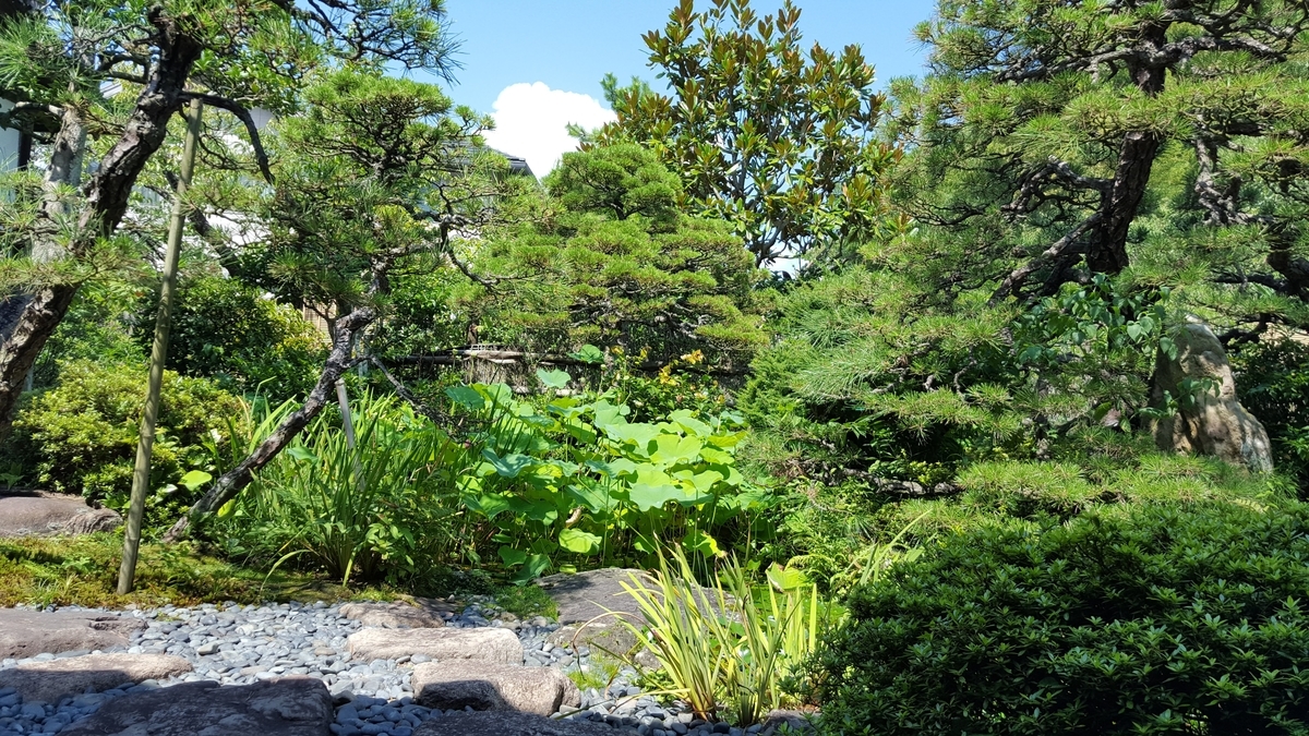 f:id:korokoroblog:20190830132618j:plain f:id:korokoroblog:20190830132618j:plain