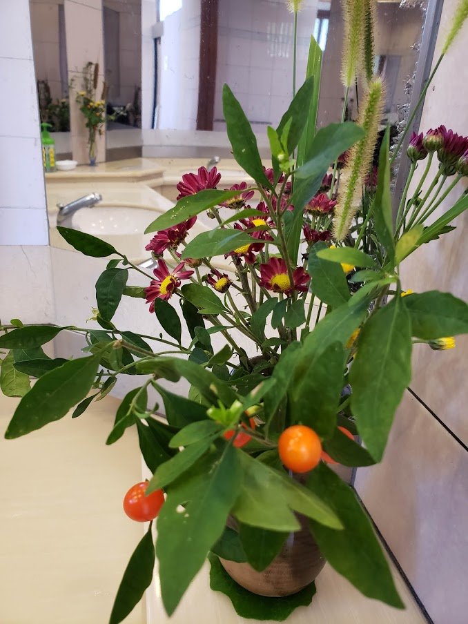 f:id:korokoroblog:20190907095058p:plain f:id:korokoroblog:20190907095058p:plain