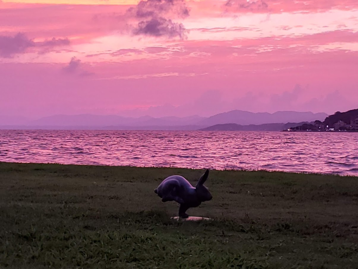 f:id:korokoroblog:20190908172443p:plain f:id:korokoroblog:20190908172443p:plain