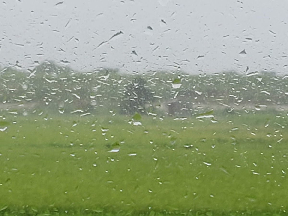 f:id:korokoroblog:20190908192324p:plain f:id:korokoroblog:20190908192324p:plain