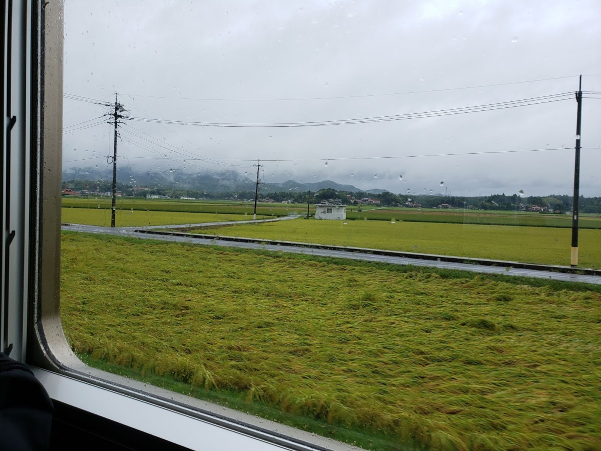 f:id:korokoroblog:20190909175445p:plain f:id:korokoroblog:20190909175445p:plain