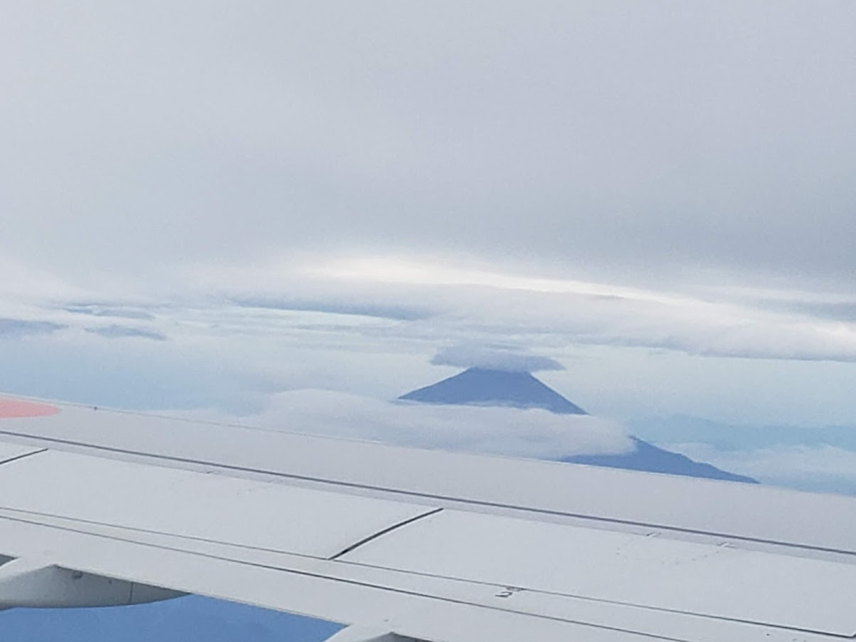 f:id:korokoroblog:20190910171937p:plain f:id:korokoroblog:20190910171937p:plain