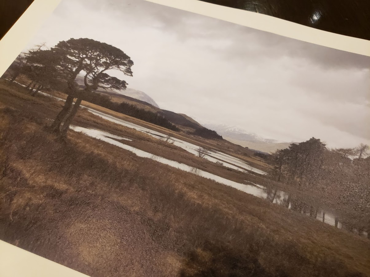 f:id:korokoroblog:20190930180412p:plain