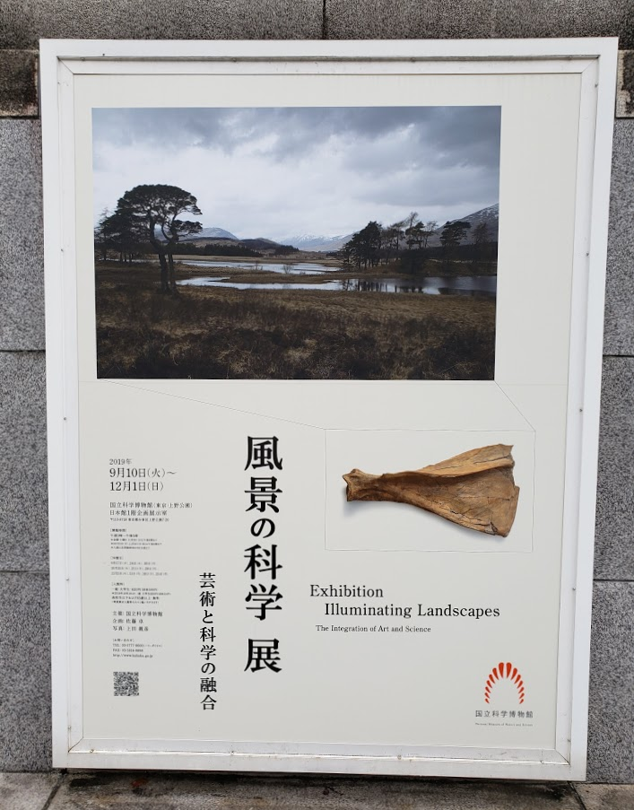 f:id:korokoroblog:20190930180914p:plain