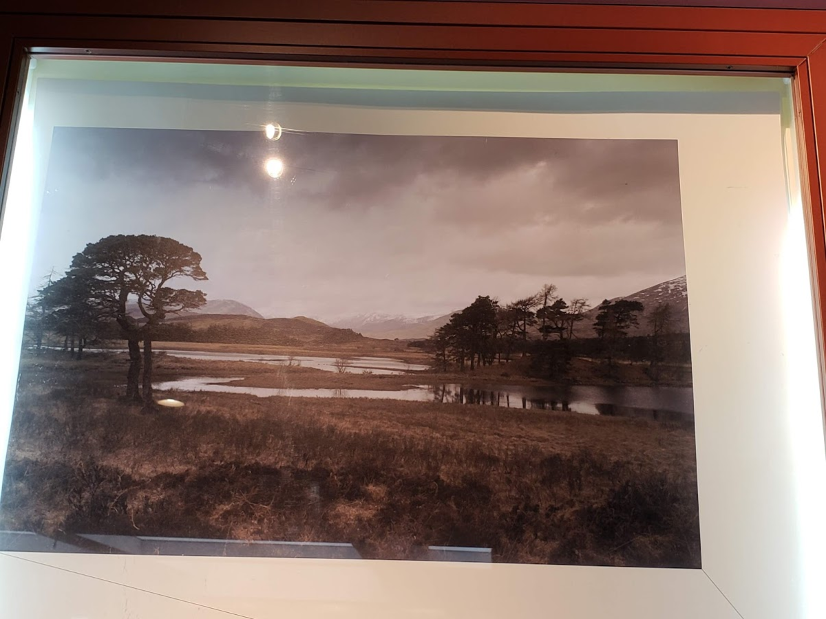 f:id:korokoroblog:20190930181111p:plain