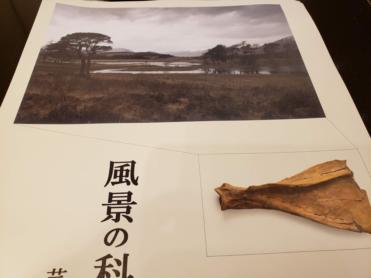 f:id:korokoroblog:20190930192929p:plain