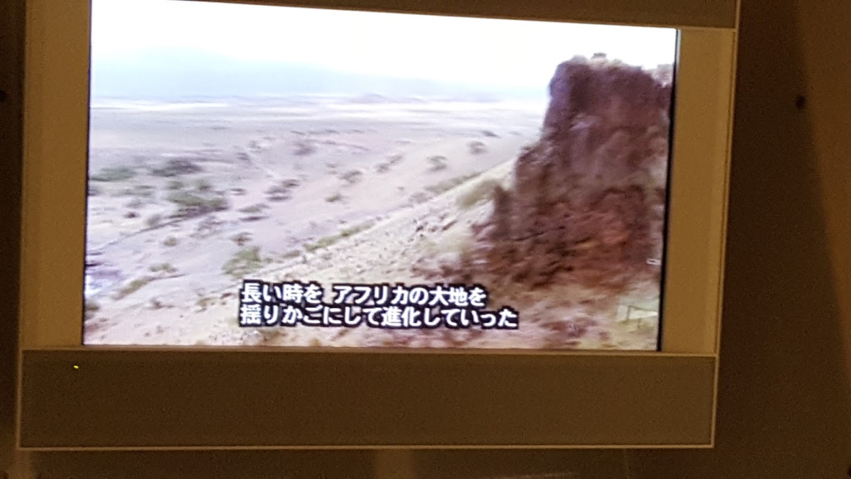 f:id:korokoroblog:20191002104554p:plain f:id:korokoroblog:20191002104554p:plain