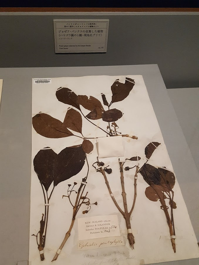 f:id:korokoroblog:20191002105343p:plain f:id:korokoroblog:20191002105343p:plain