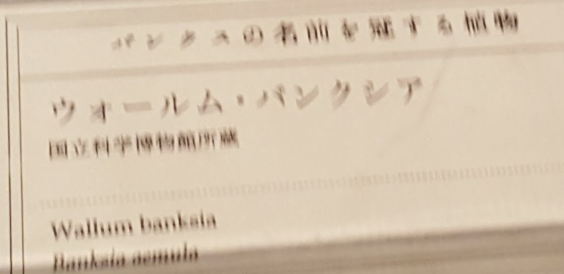 f:id:korokoroblog:20191002105530p:plain f:id:korokoroblog:20191002105530p:plain