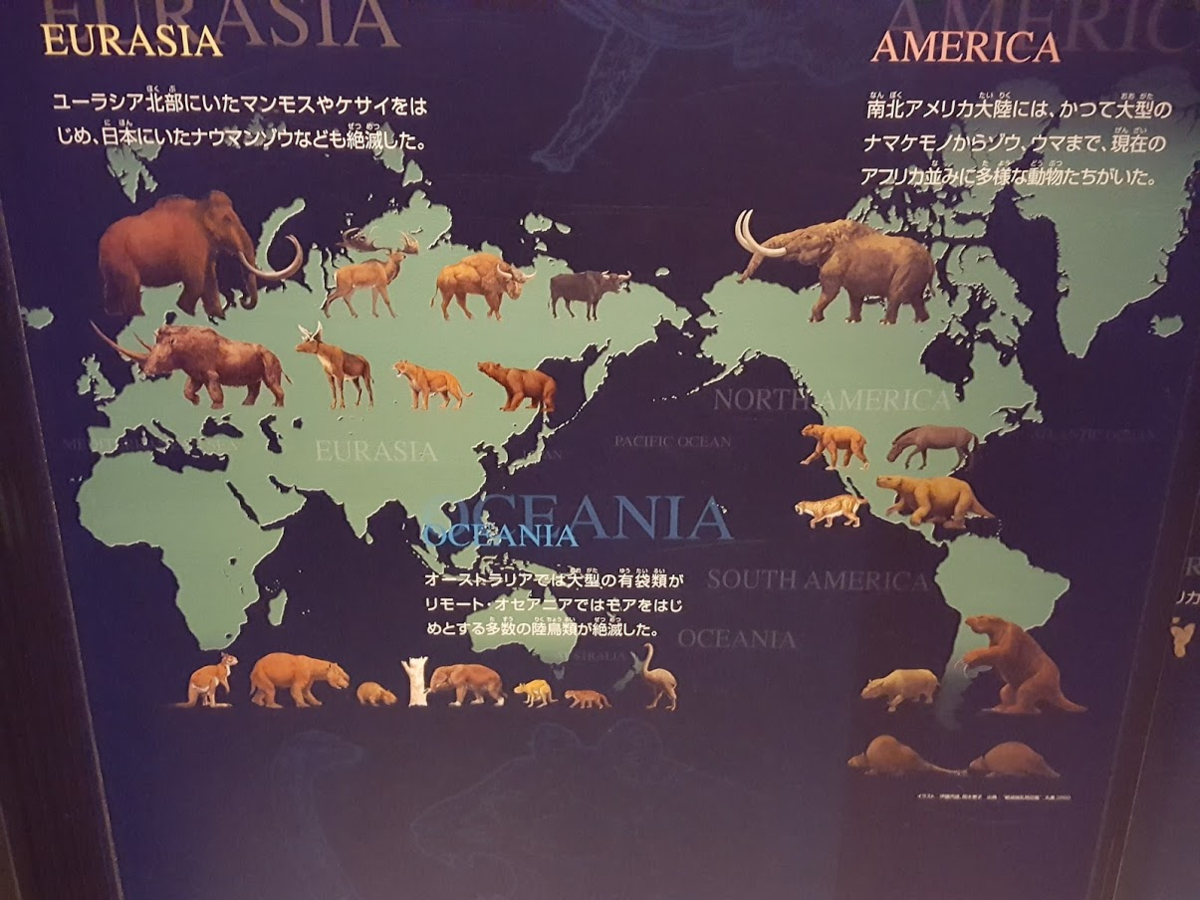 f:id:korokoroblog:20191002132214p:plain