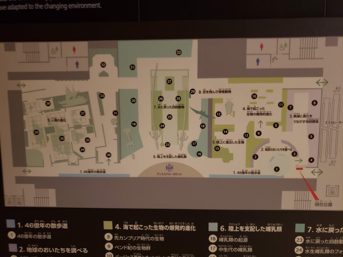 f:id:korokoroblog:20191017155833p:plain