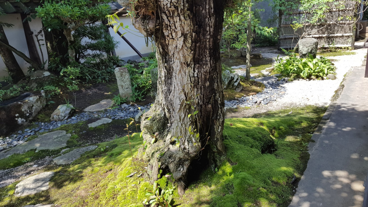 f:id:korokoroblog:20191219182626p:plain f:id:korokoroblog:20191219182626p:plain