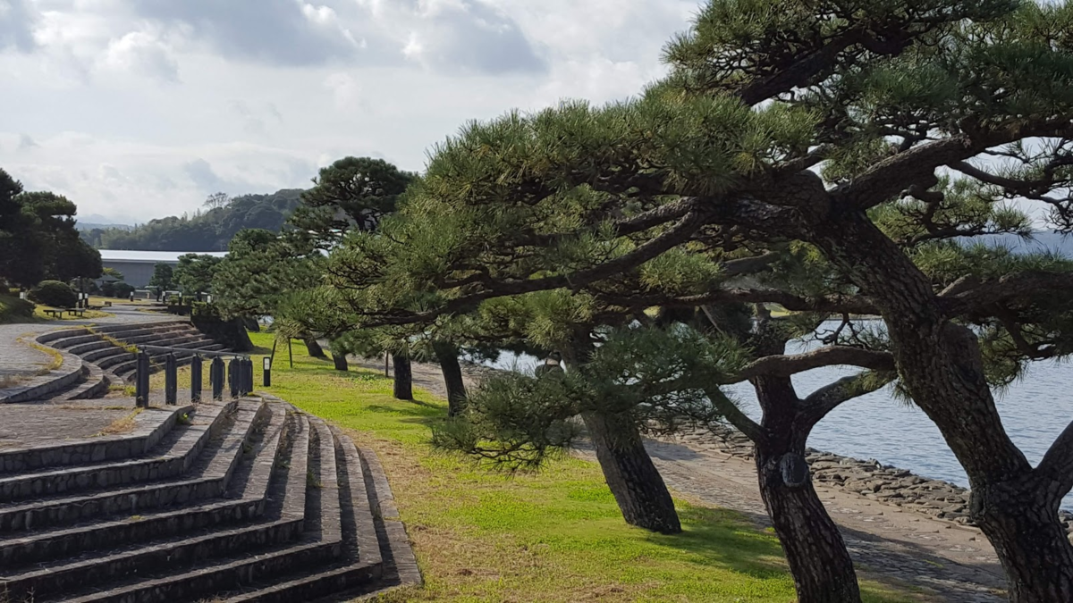 f:id:korokoroblog:20191225030050p:plain f:id:korokoroblog:20191225030050p:plain