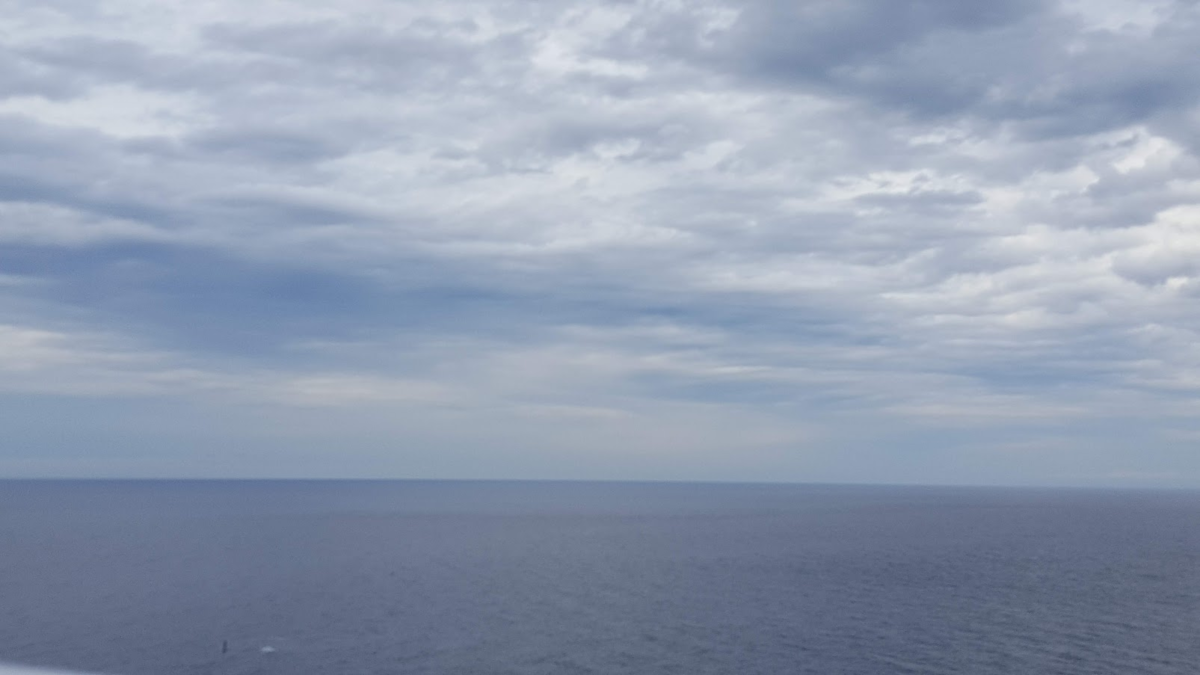 f:id:korokoroblog:20191225154441p:plain f:id:korokoroblog:20191225154441p:plain