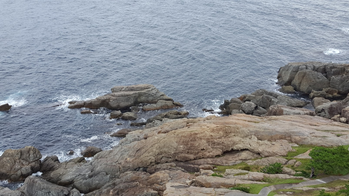 f:id:korokoroblog:20191225231821p:plain f:id:korokoroblog:20191225231821p:plain