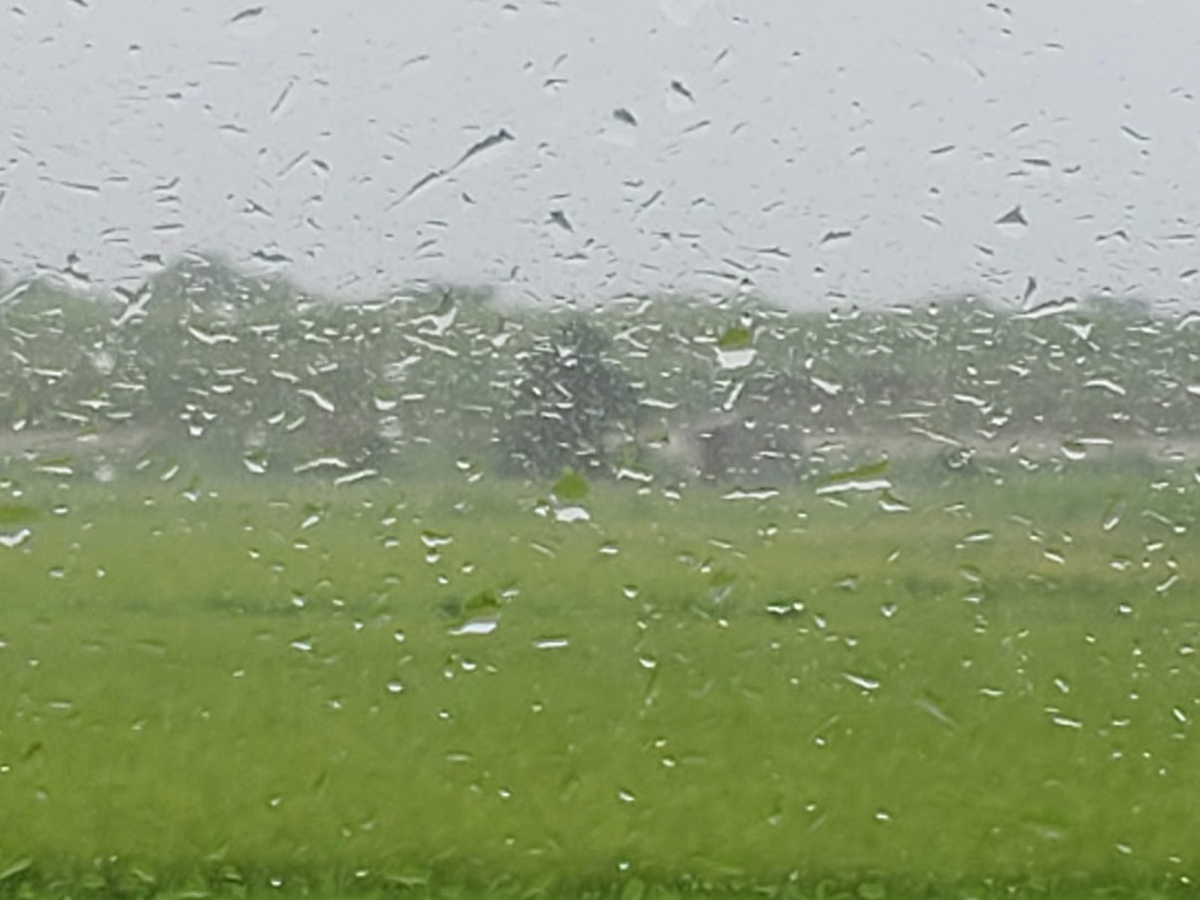 f:id:korokoroblog:20191226005658p:plain f:id:korokoroblog:20191226005658p:plain