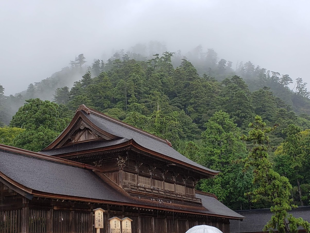 f:id:korokoroblog:20191226005941p:plain f:id:korokoroblog:20191226005941p:plain