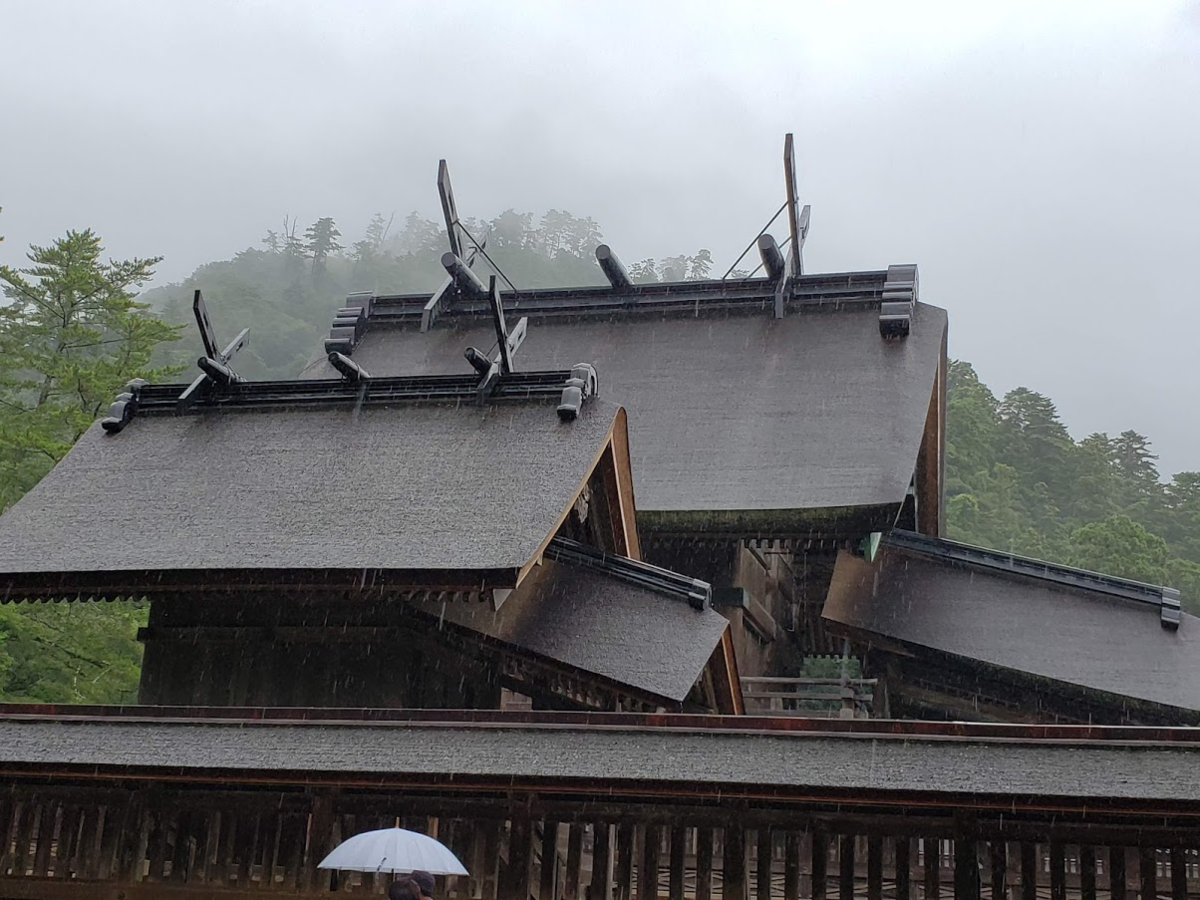 f:id:korokoroblog:20191226010025p:plain f:id:korokoroblog:20191226010025p:plain