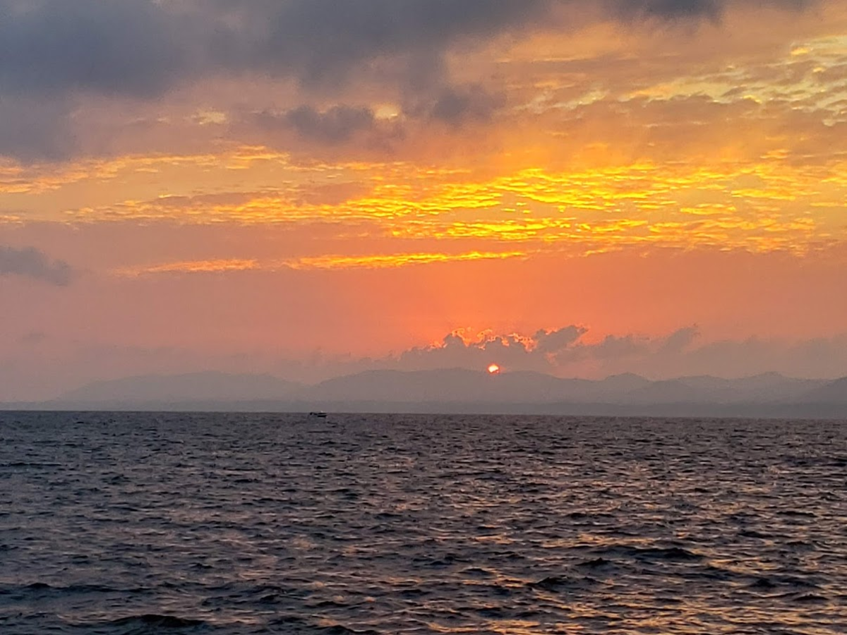 f:id:korokoroblog:20191226012708p:plain f:id:korokoroblog:20191226012708p:plain
