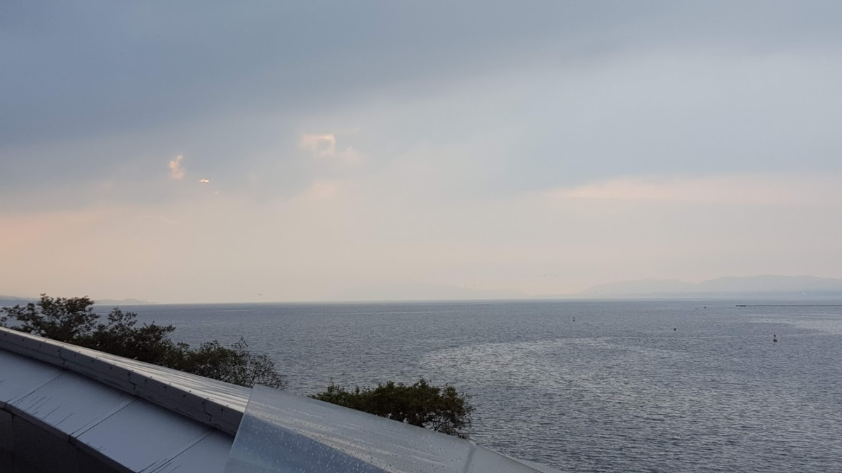 f:id:korokoroblog:20191226051739p:plain f:id:korokoroblog:20191226051739p:plain